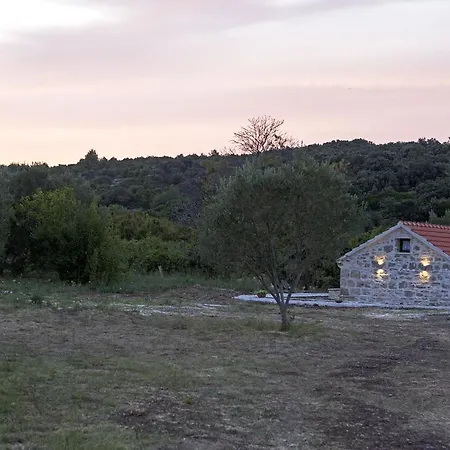 Vinko *