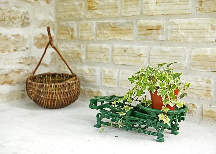 Gospodarstwo wiejskie Vinko *