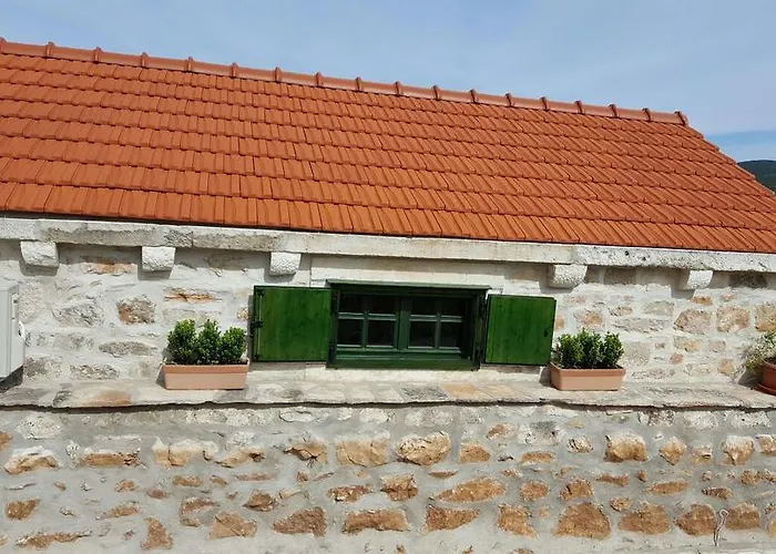 Vinko Gospodarstwo wiejskie *